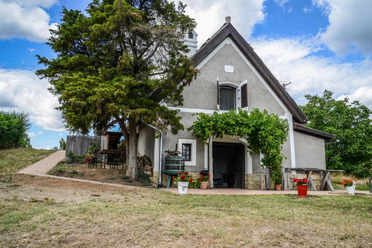Mali Pince Villa Aszofo Exteriör bild